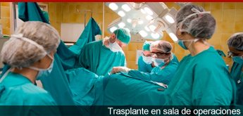 Trasplante en sala de operaciones