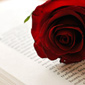 Un libro y una rosa en Sant Jordi
