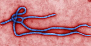 Virus Ébola