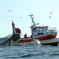 Barco de pesca de arrastre