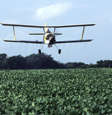 Avión echando pesticida