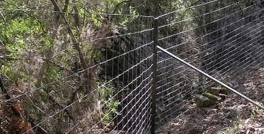 Valla cinegética en el Parque Nacional de Cabañeros - Foto: Ecologistas en Accion