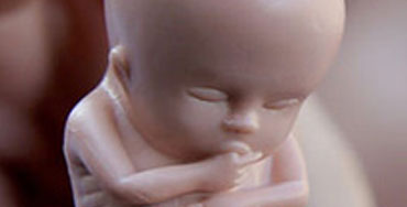 Réplica de bebé contra las reforma de la ley del aborto