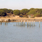 Parque Nacional de Doñana