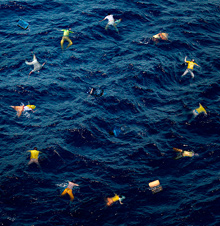 Bandera de la UE de Banksy