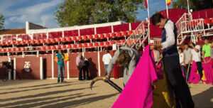 Escuela de Tauromaquia Marcial Lalanda