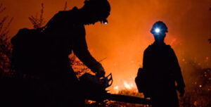 Bomberos en un incendio forestal