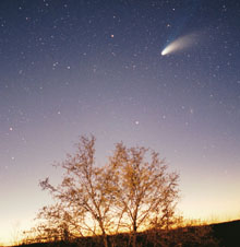 Lluvia de estrella