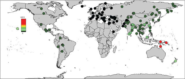 Mapa Mundi Neardenthal