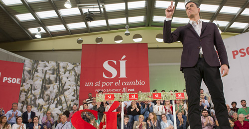 Pedro Sánchez, secretario general del PSOE