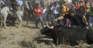 Toro de la Vega