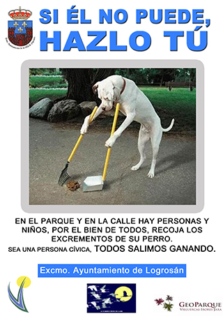 Multa perros