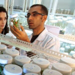 Investigación en biotecnología