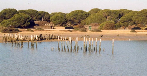 Parque Nacional de Doñana