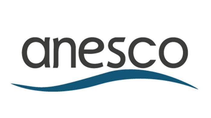 Logotipo de Anesco