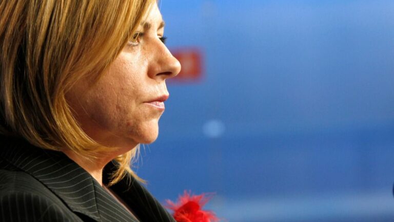 Elena Valenciano, diputada del Parlamento Europeo por España