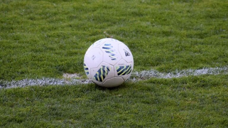 Pelota de Fútbol