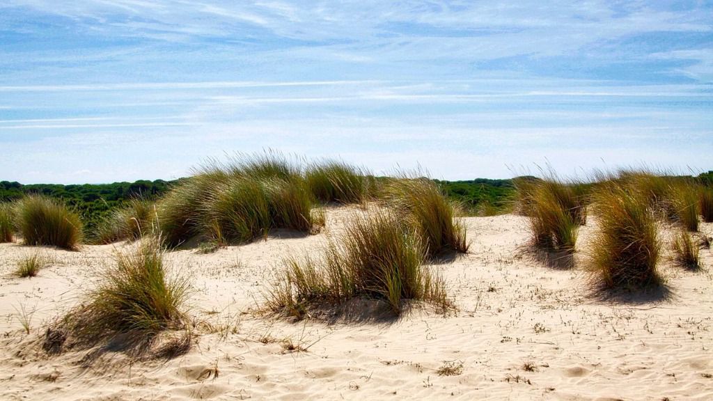 Parque Nacional de Donana