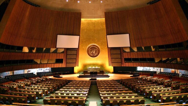 Asamblea General de las Naciones Unidas (ONU)