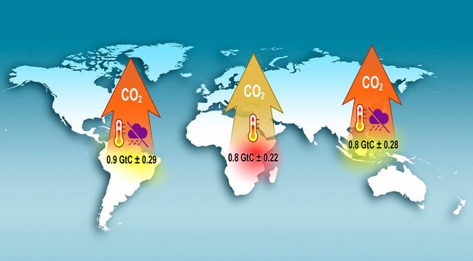 Infografía que representa los niveles inusualmente altos de liberación de dióxido de carbono desde tres continentes con zonas tropicales durante el fenómeno de El Niño en 2015