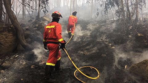 Personal anti incendios.