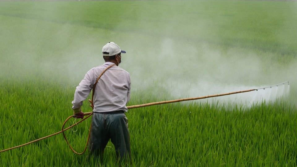 El glifosato, el herbicida más utilizado del mundo