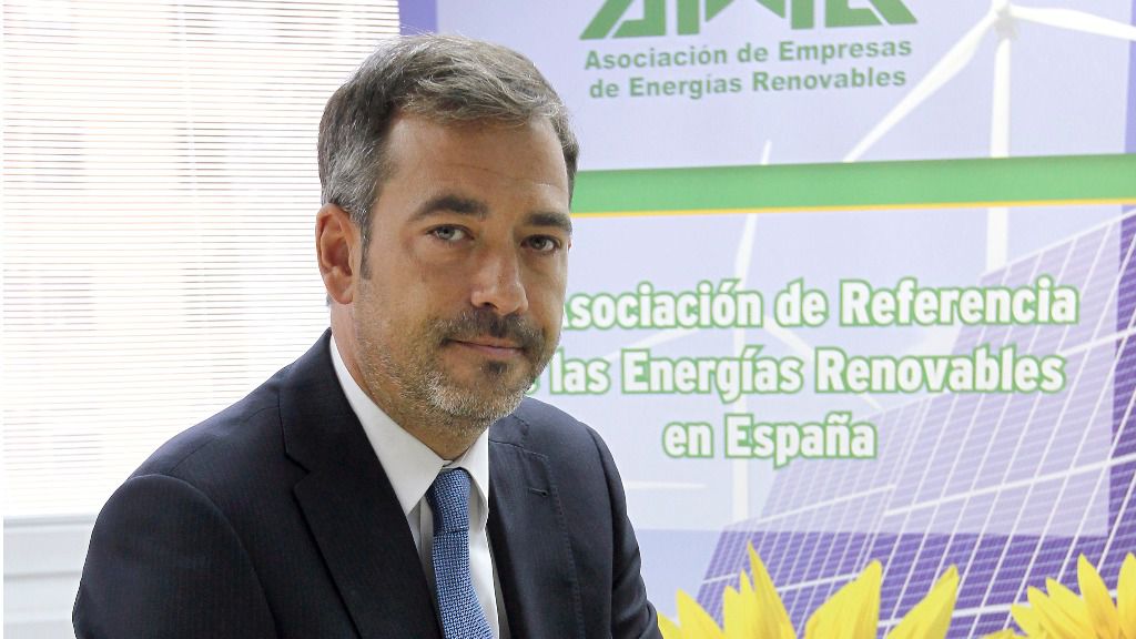 José María González Moya, director general de APPA Renovables