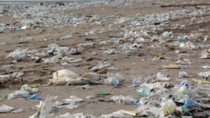 Plásticos playa contaminación
