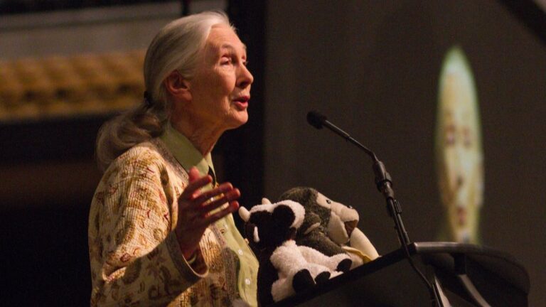 Jane Goodall