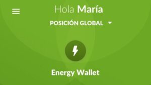 Energy Wallet 1