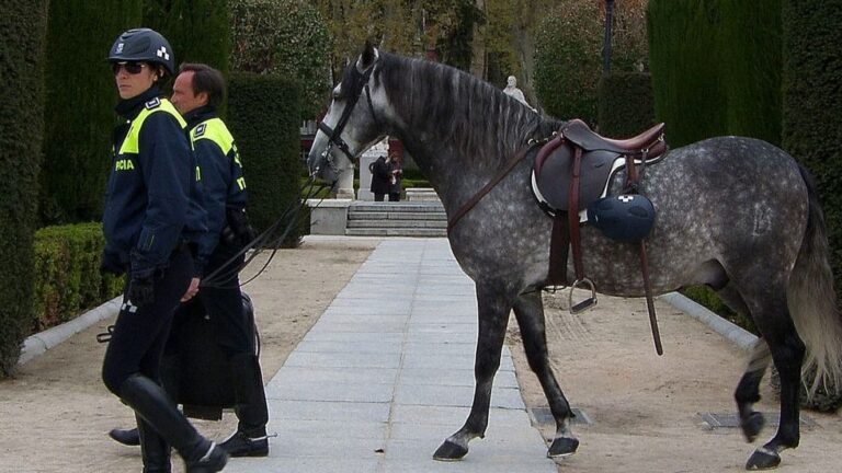 Caballo policía