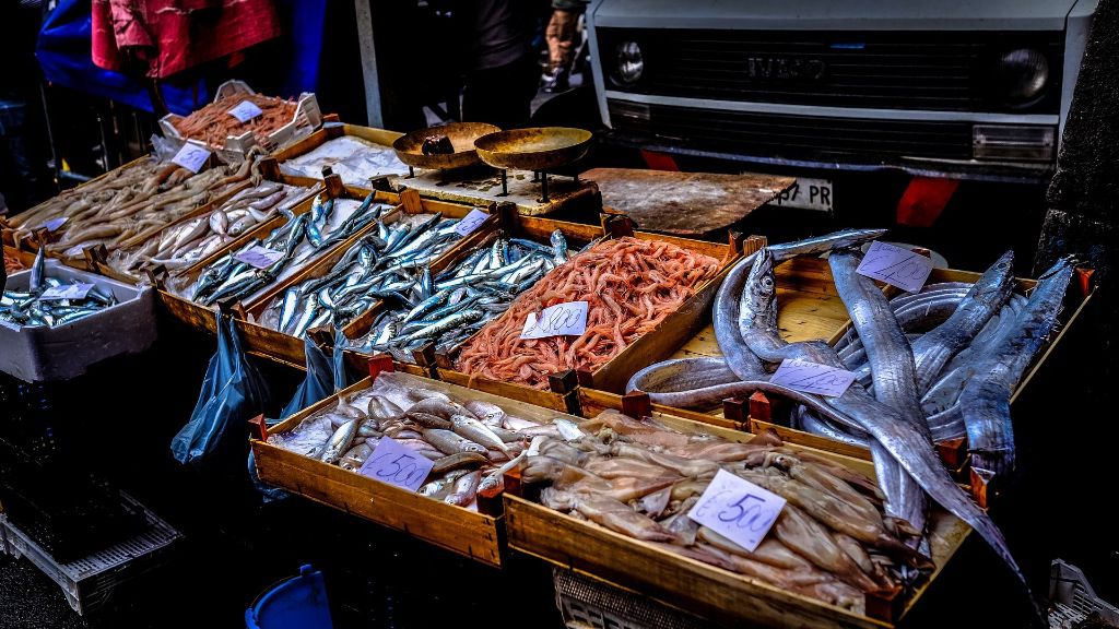 pescaderia pescado mercado