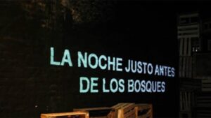 La noche justo antes de los bosques