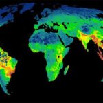 Este mapa muestra 'las zonas calientes' de la biodiversidad, donde la caza furtiva y la deforestación amenazan más a las especies
