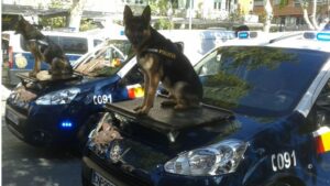 Perros Policía