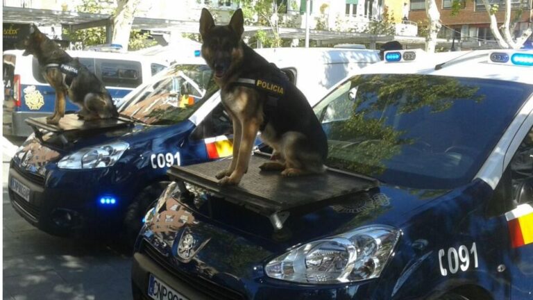 Perros Policía