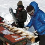 Mike MacFerrin (izquierda) y Horst Machguth (derecha) analizan muestras de núcleos de hielo perforadas en la capa de hielo de Groenlandia en 2012
