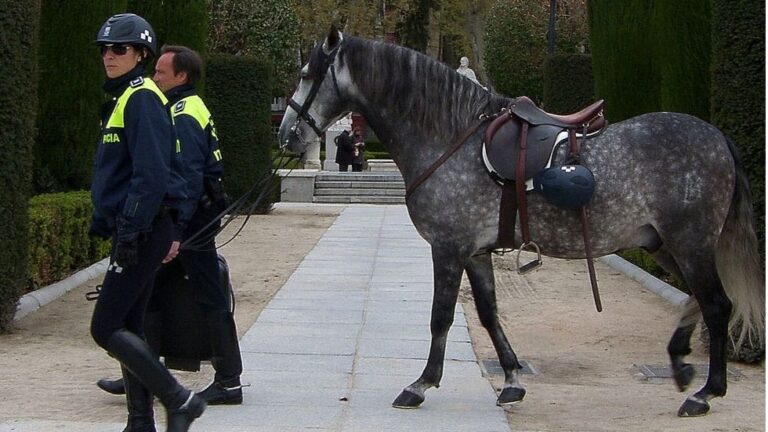 Caballo policía