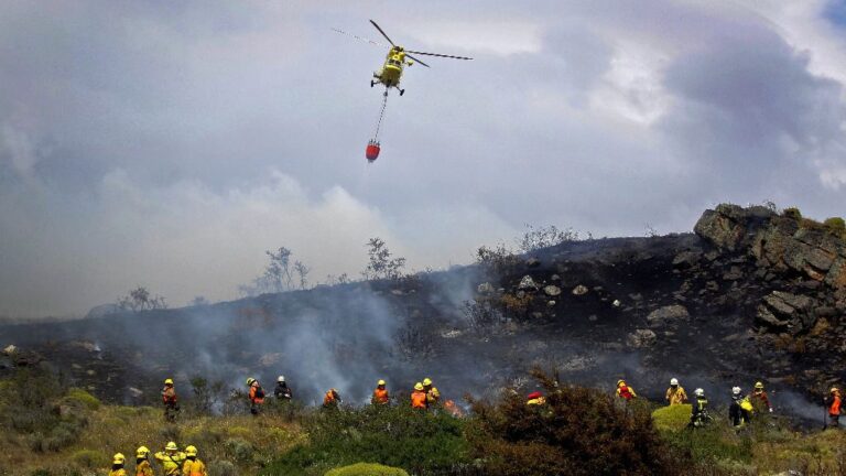 Incendio forestal