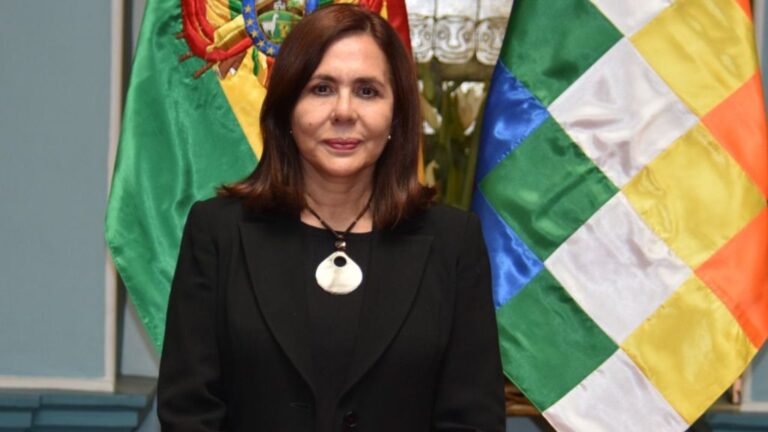 La ministra de Exteriores interina de Bolivia, Karen Longaric