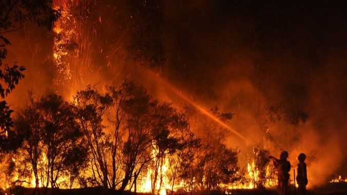 Incendio forestal en Australia