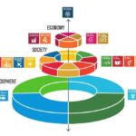 Infografía que muestra la importancia de los ODS relacionados con la biodiversidad