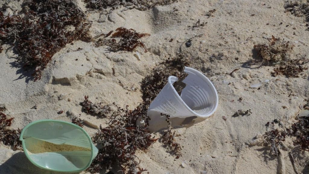 Vasos de plástico en una playa