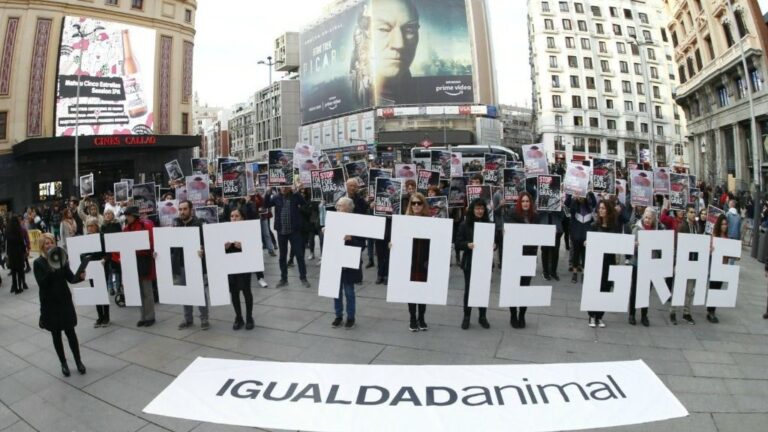 Más de un centenar de activistas reclaman al Gobierno que prohíba la producción de foie gras en España