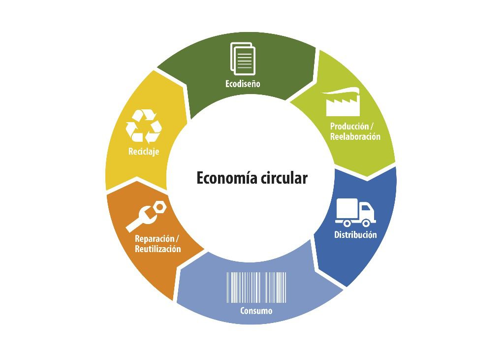 Infografía economía circular