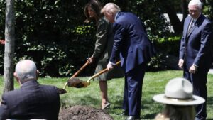 Donald Trump plantando un árbol