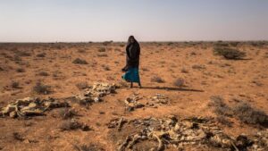 Una mujer afectada por la sequía en Somalia