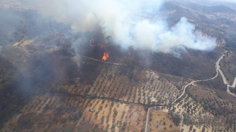 Incendio forestal en Barrancos, Portugal