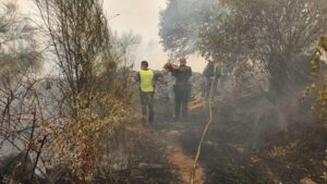 Incendio de Cualedro (Ourense)