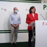 La portavoz adjunta del Grupo Parlamentario Socialista Rosa Aguilar en rueda de prensa en Almería